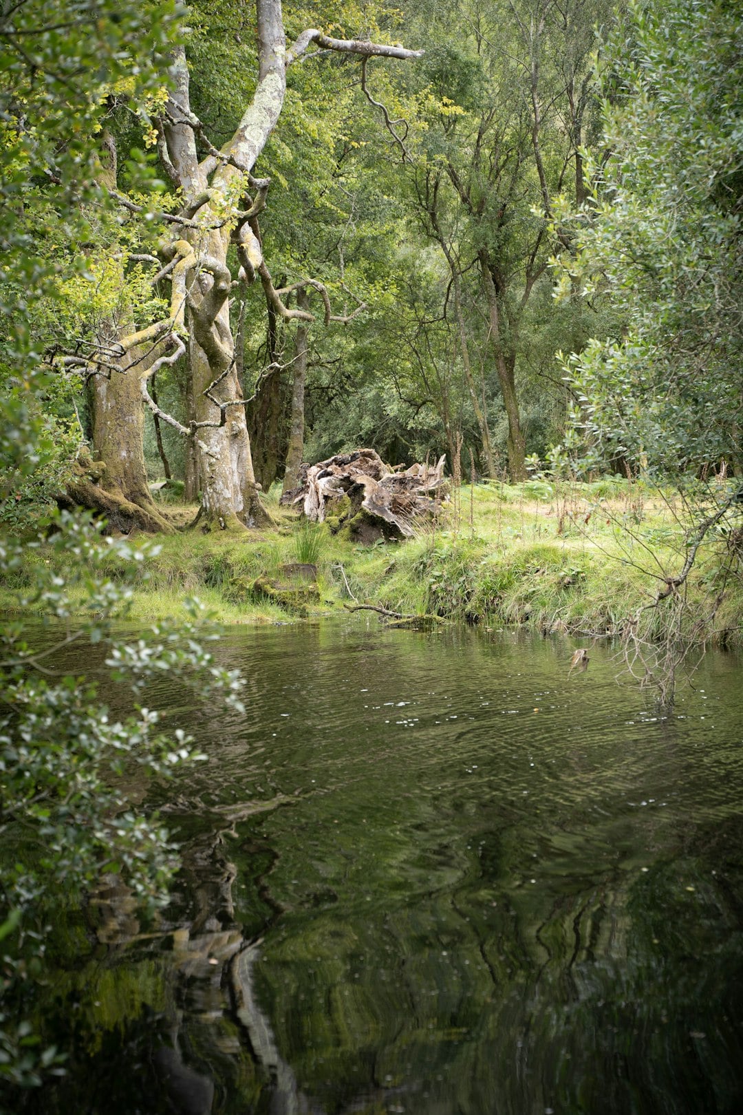 Why Thousands of Irish Men Disappeared Every Summer and Nobody Questioned It