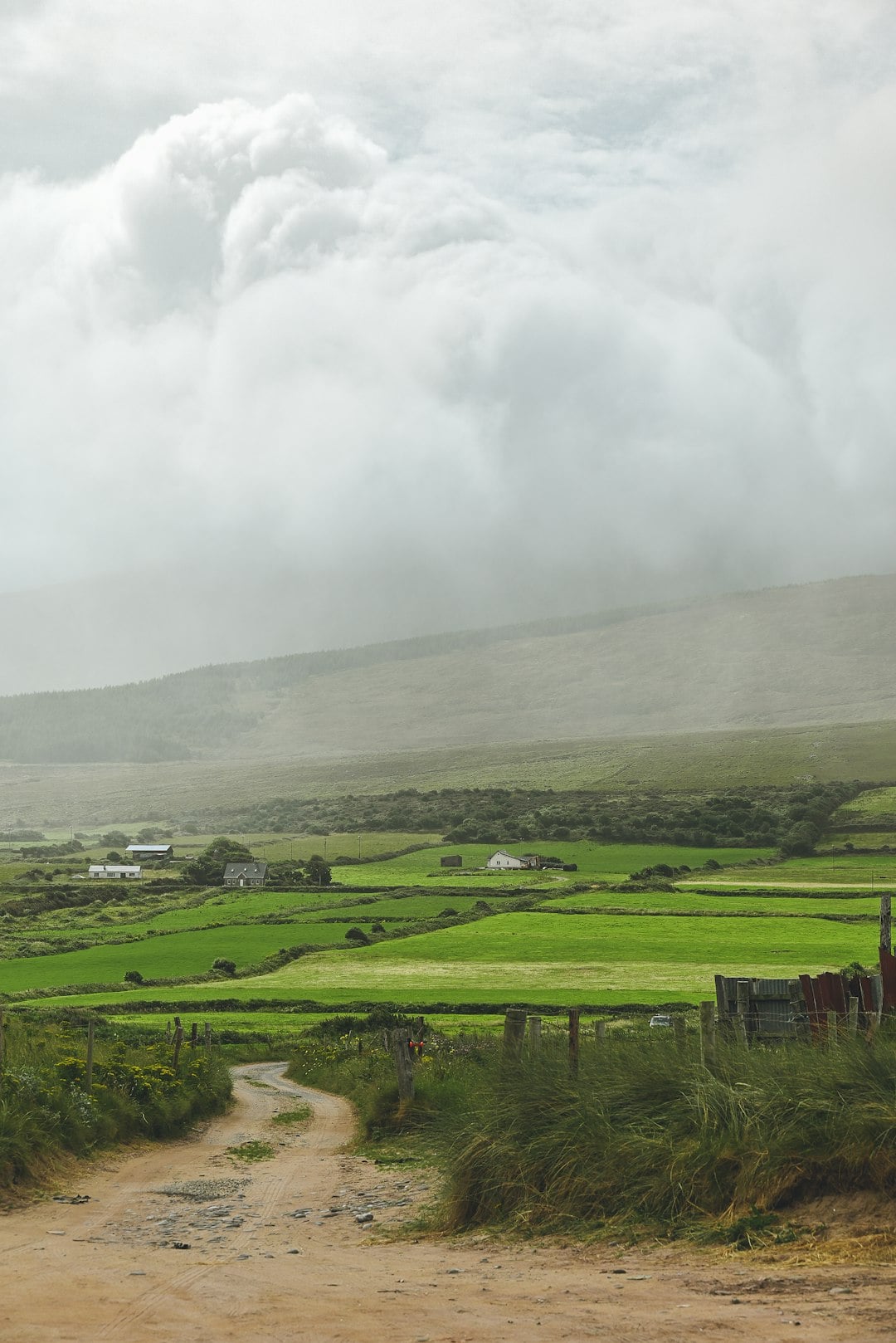 You Know You&rsquo;re in Ireland When&hellip; (And It&rsquo;s Absolutely Brilliant!)