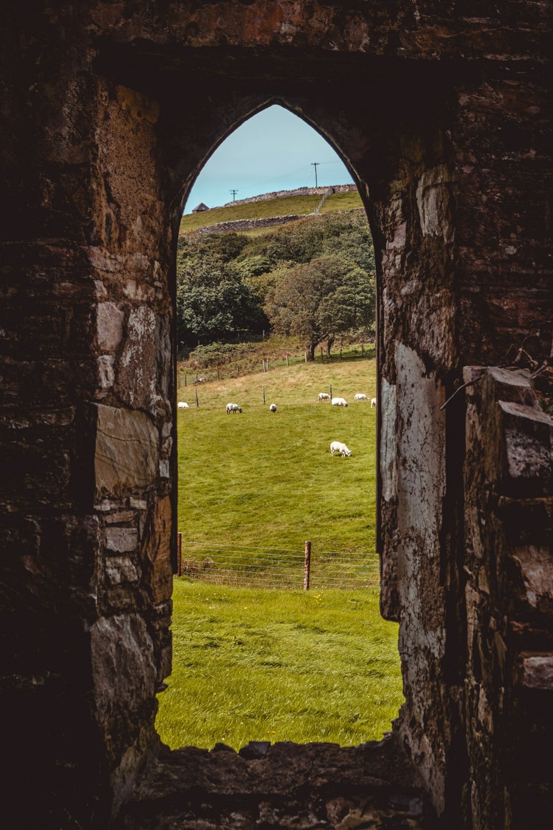 Ballykilcavan Farm and Brewery, County Laois, Ireland