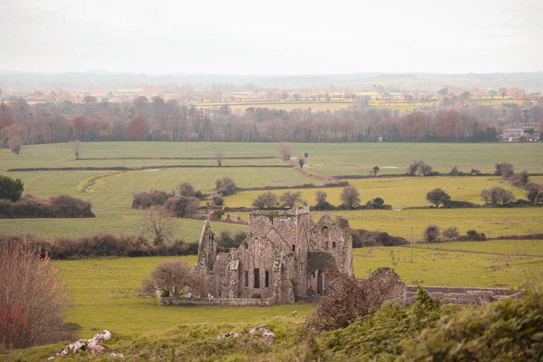 Brandon Hill Walk: A Hiker&rsquo;s Guide to Kilkenny&rsquo;s Scenic Landscape