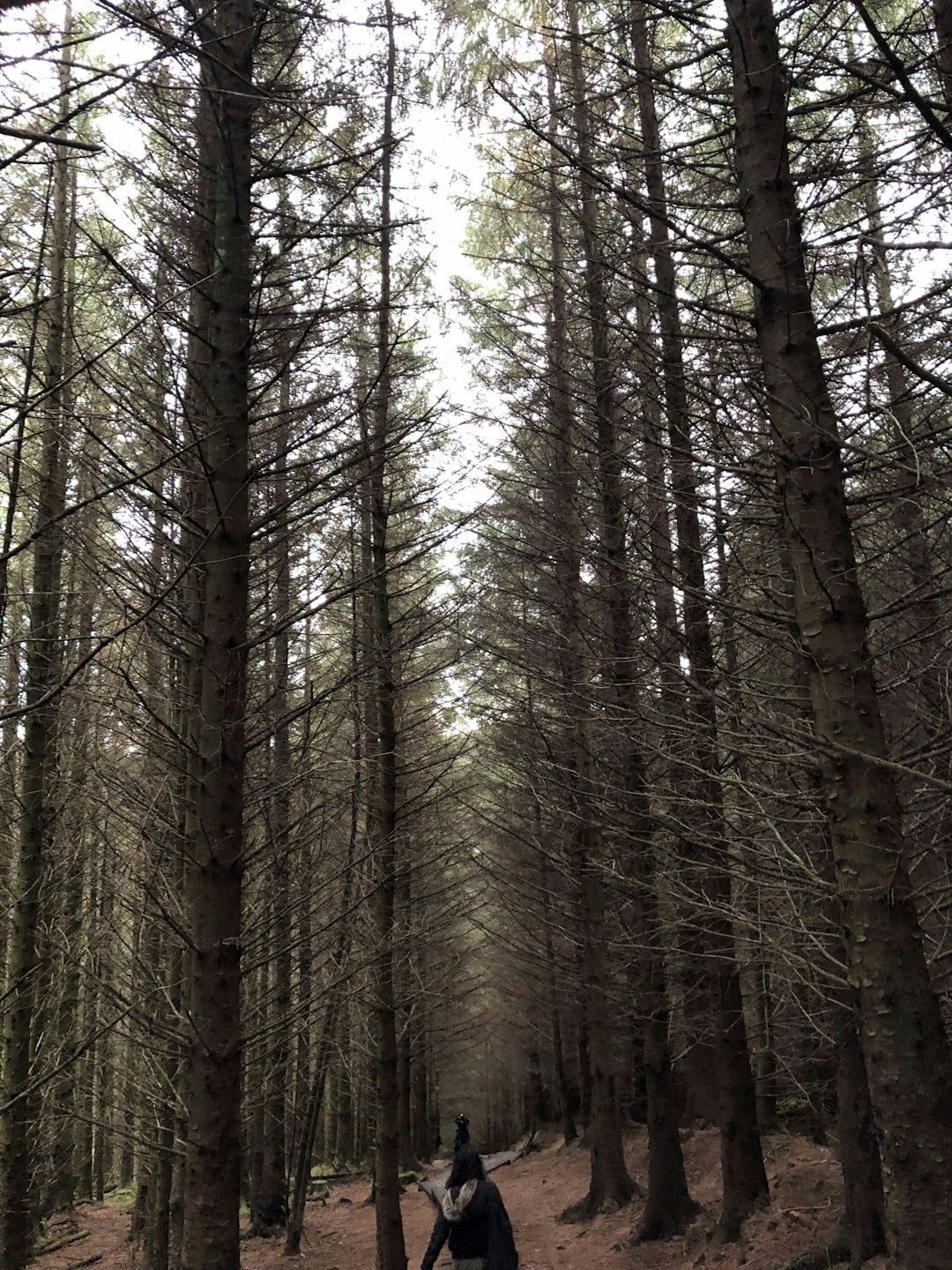 Conquering Lugnaquilla: A Hiker&rsquo;s Guide to Wicklow&rsquo;s Highest Peak