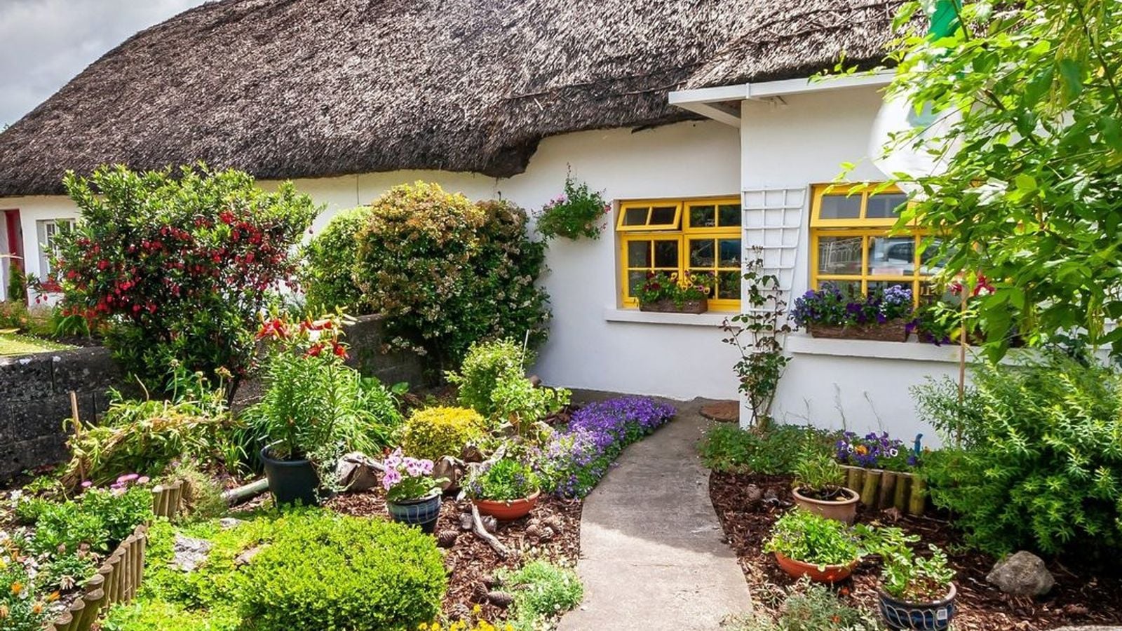Traditional Irish thatched cottage with whitewashed walls and colourful garden in Adare Village County Limerick