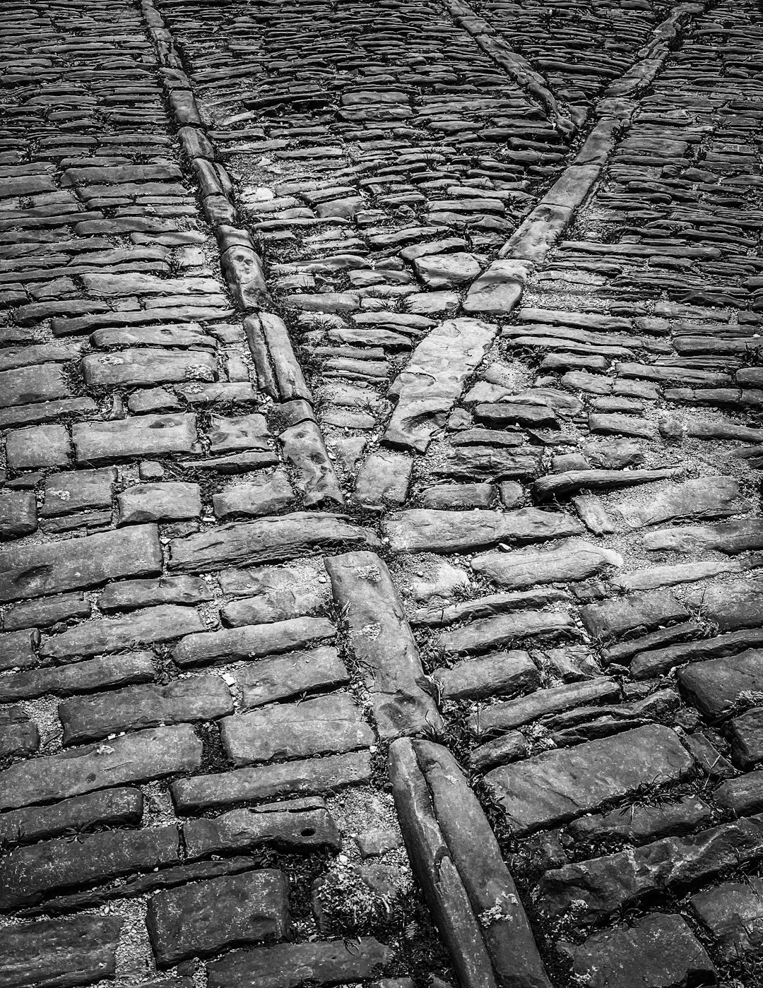 Exploring Butterslip Lane: Kilkenny’s Hidden Gem