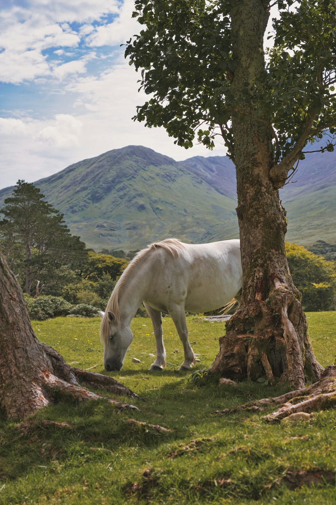 Ireland&rsquo;s Secret Love Story