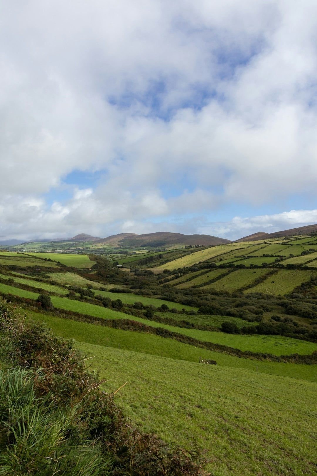 Irish Surnames from Down &ndash; Origins, Meanings & Heritage Roots