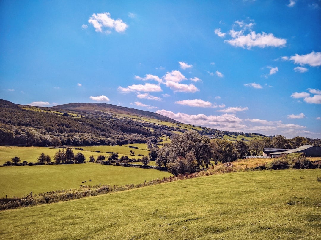 Irish Surnames from Tyrone &ndash; Origins, Meanings & Heritage Roots
