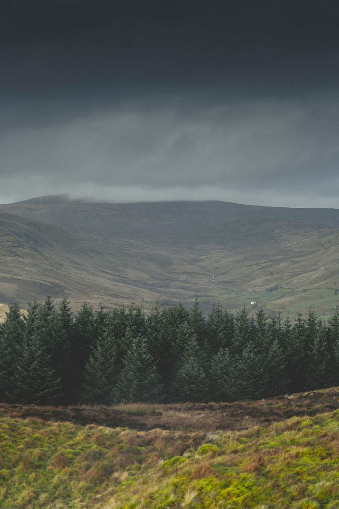 Irish Surnames from Tyrone &ndash; Origins, Meanings & Heritage Roots