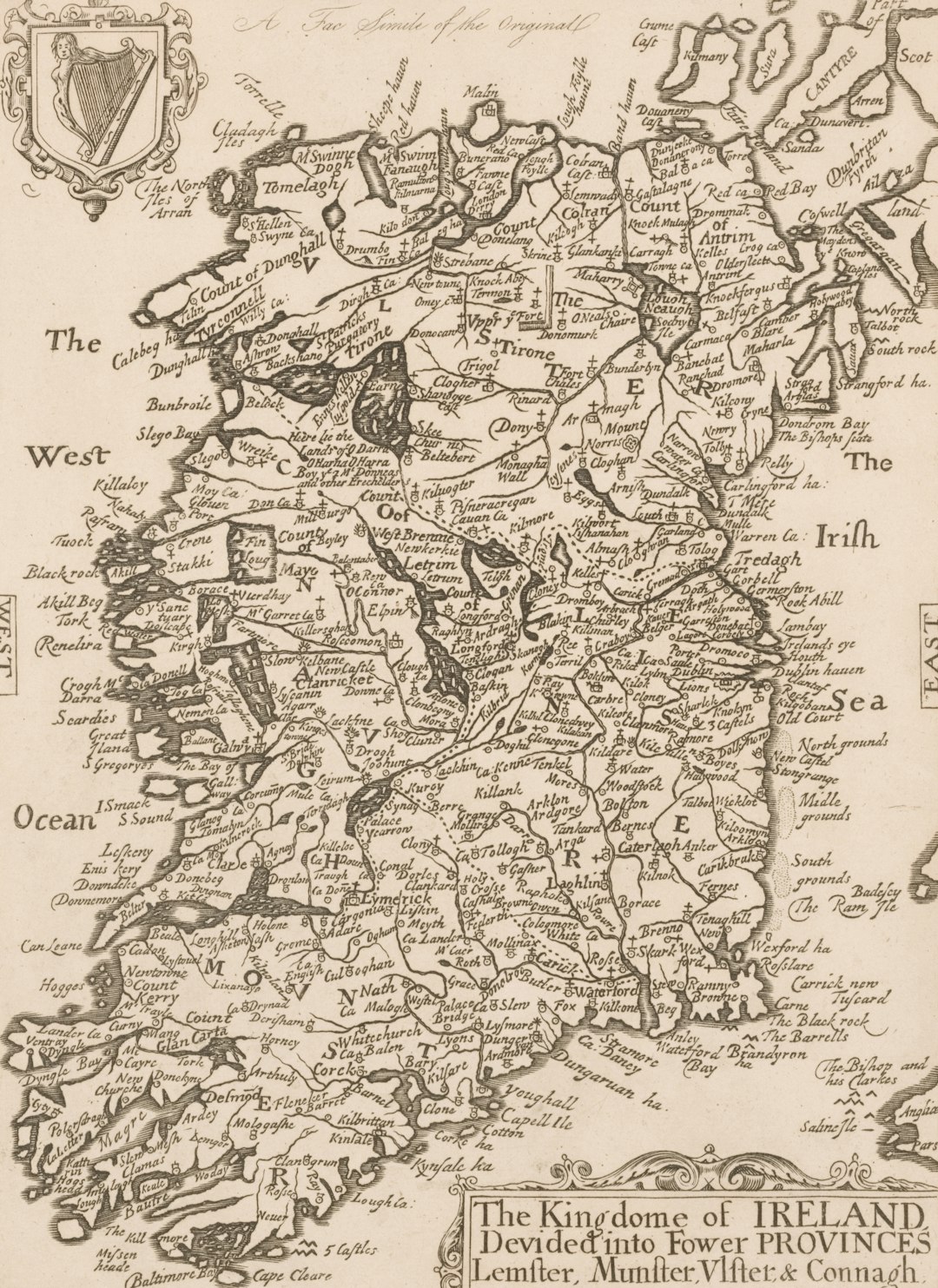 Irish Surnames You Love