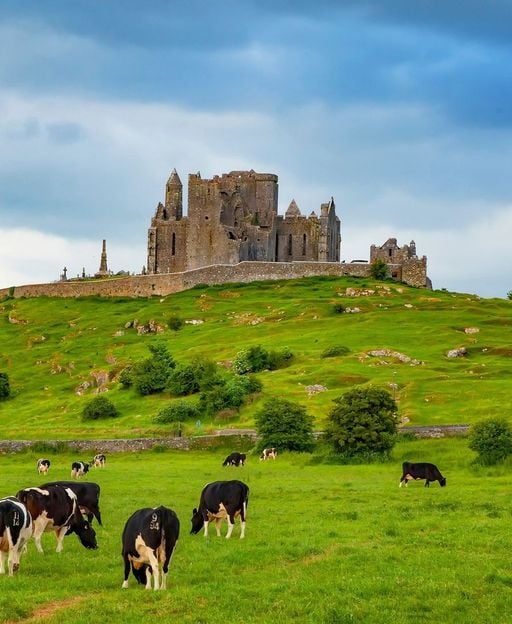 Rock of Cashel medieval ruins on limestone outcrop, County Tipperary, Ireland