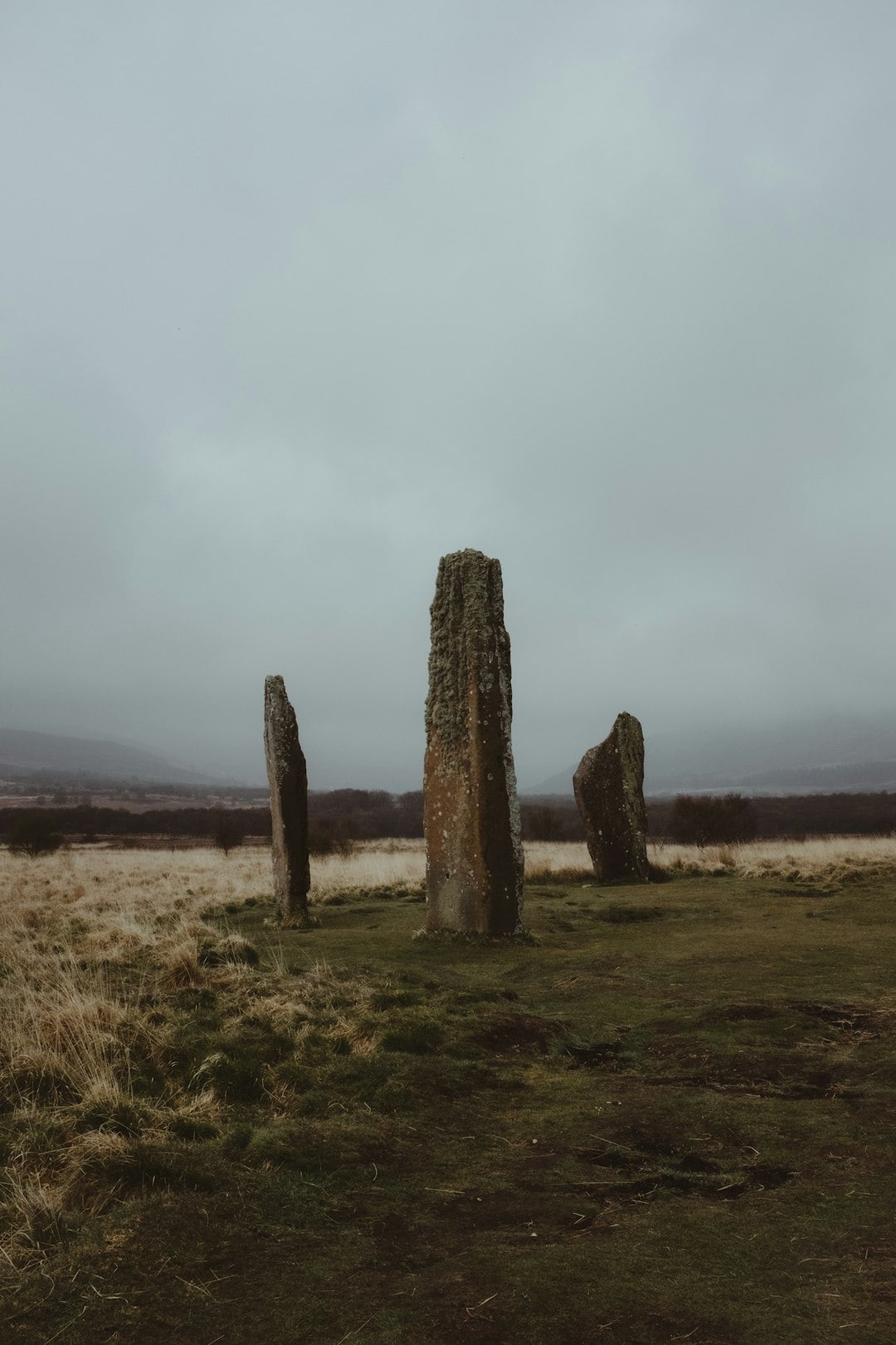 The Ancient Irish Poets So Powerful That Kings Paid Gold to Silence Them