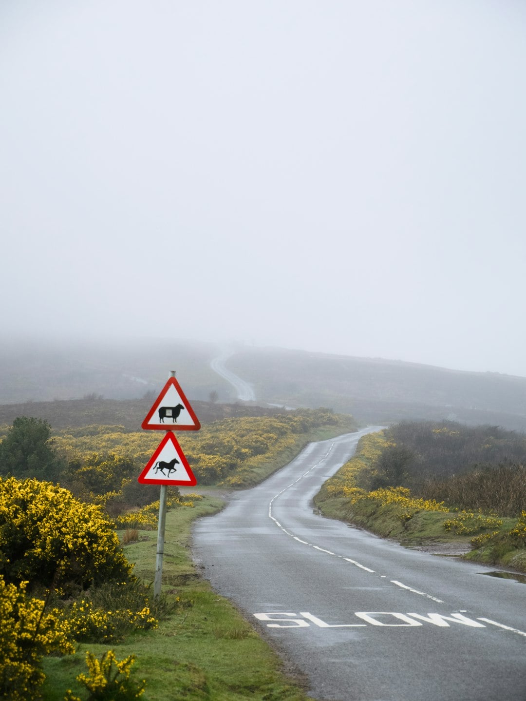The Corners of Ireland Where You Can Live an Entire Day Without Speaking English