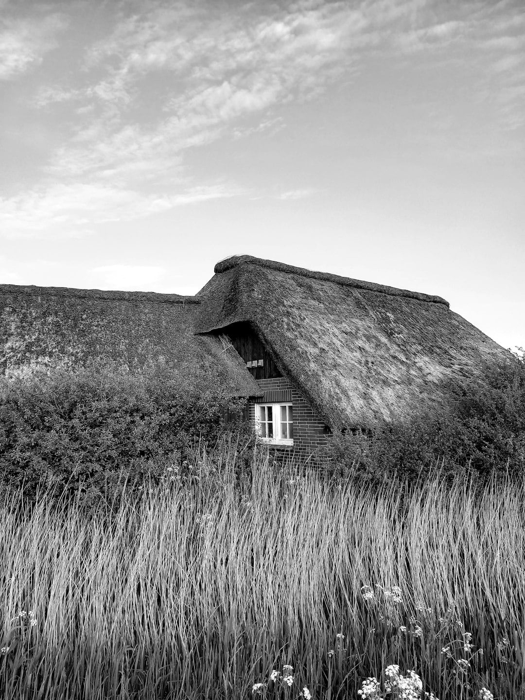 The Craft Behind Ireland&rsquo;s Most Photographed Roof &mdash; and the Few Who Still Know It