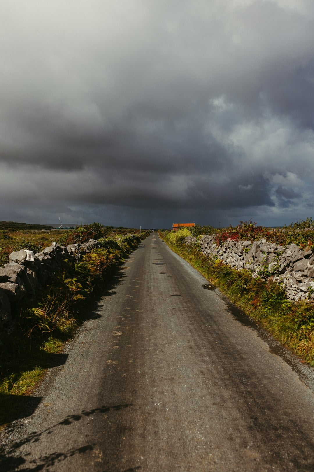 The Illegal Back-Road Pubs That Rural Ireland Kept Hidden for Centuries