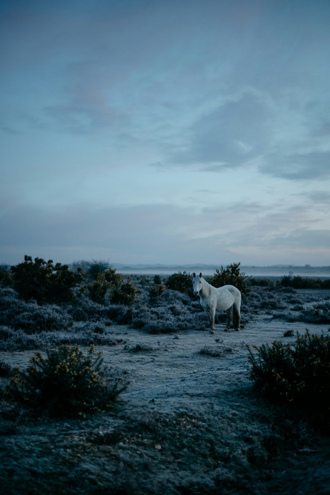 The Irish Story of the Man Who Found Paradise and Lost Everything Coming Home