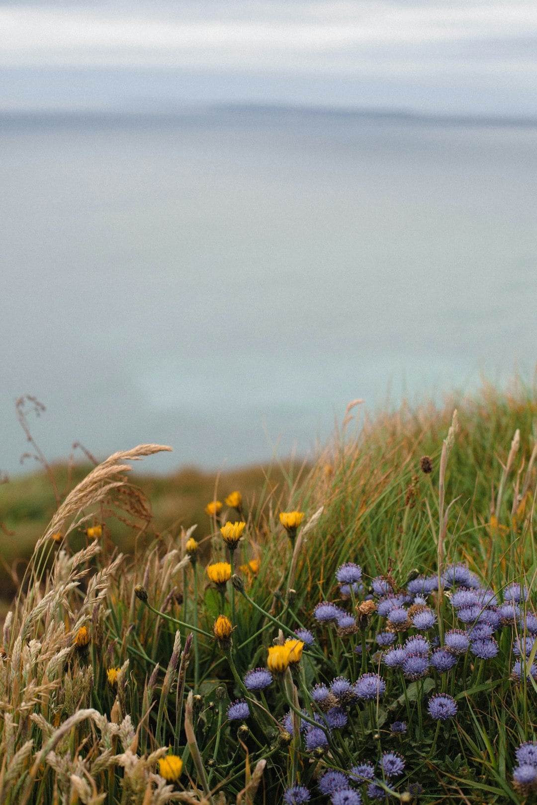 The Story Behind Rois&iacute;n: Ireland&rsquo;s Beloved Irish Girl Name