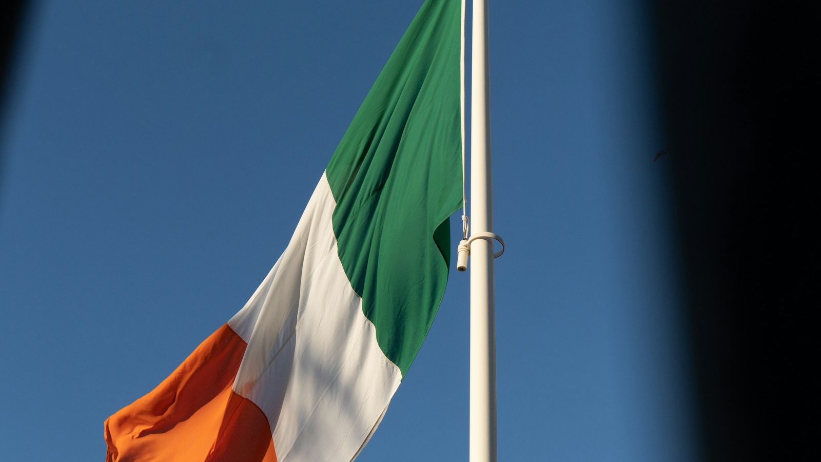 Why Irish Families Still Salute the Magpie &mdash; and What Happens If You Don't