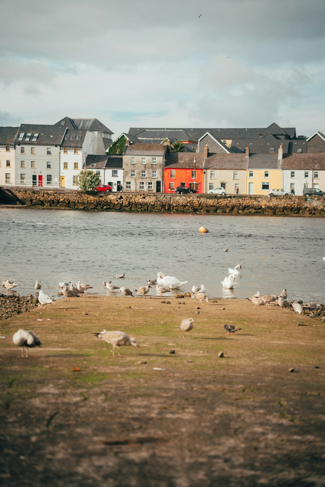 Westport: Ireland&rsquo;s Best Place to Live (That Tourists Keep Missing)