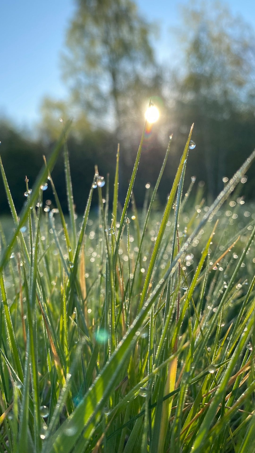 Why Irish Women Washed Their Faces in the Fields Before Anyone Else Was Awake
