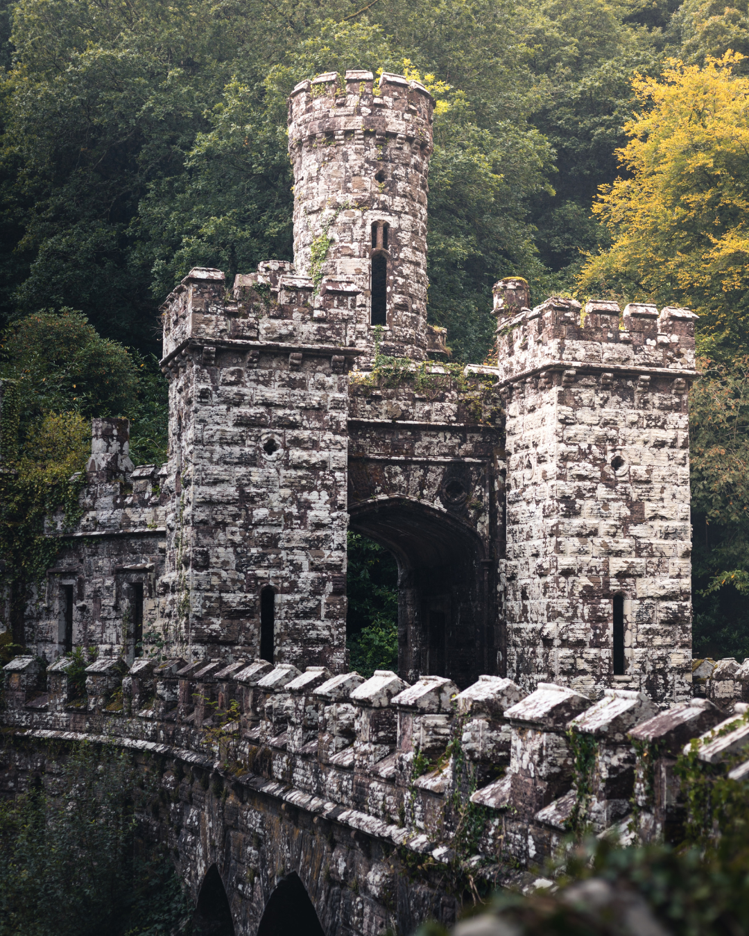 The Gothic battlemented towers and arched gateway of Ballysaggartmore in County Waterford, Ireland, surrounded by dense woodland