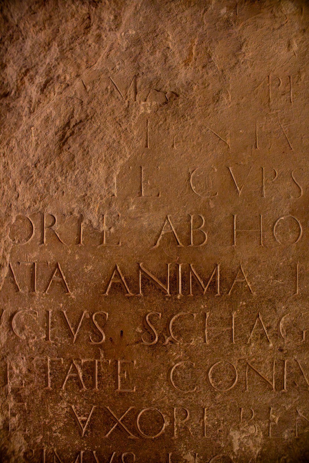 Ireland&rsquo;s Ancient Stone Alphabet That Only the Druids Were Meant to Understand