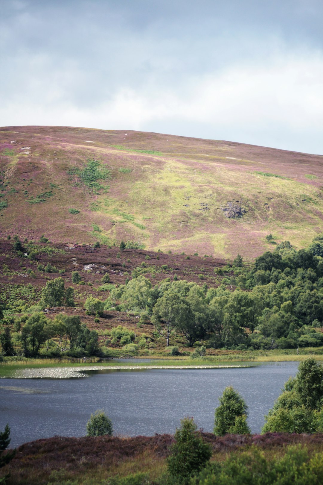 Irish Surnames from Cavan &ndash; Origins, Meanings & Heritage Roots