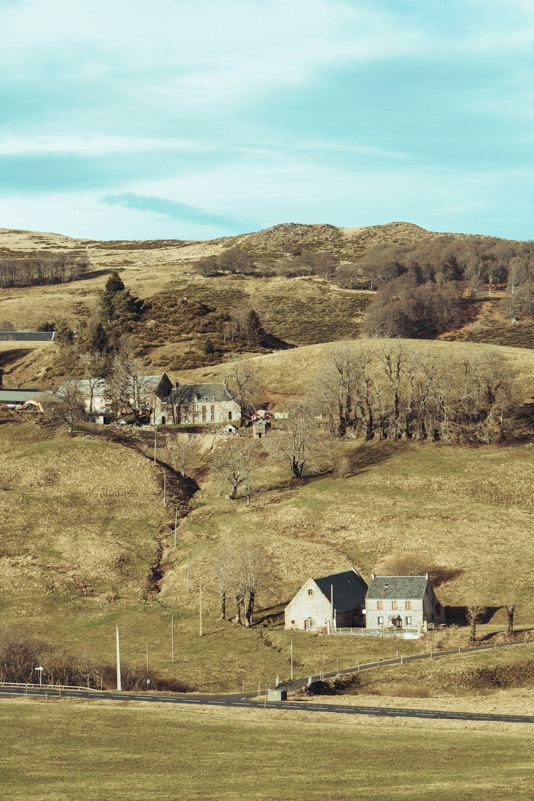 Irish Surnames from Cavan – Origins, Meanings & Heritage Roots