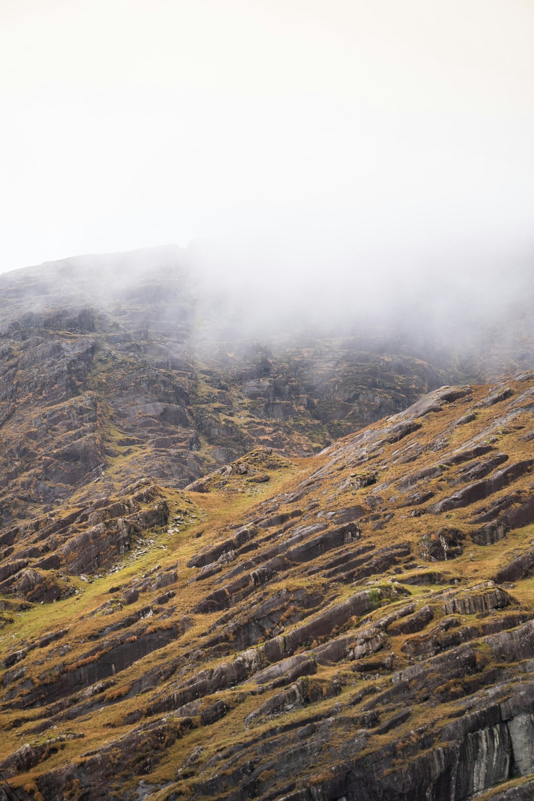 Irish Surnames from County Cork &ndash; Origins, Meanings & Heritage Roots