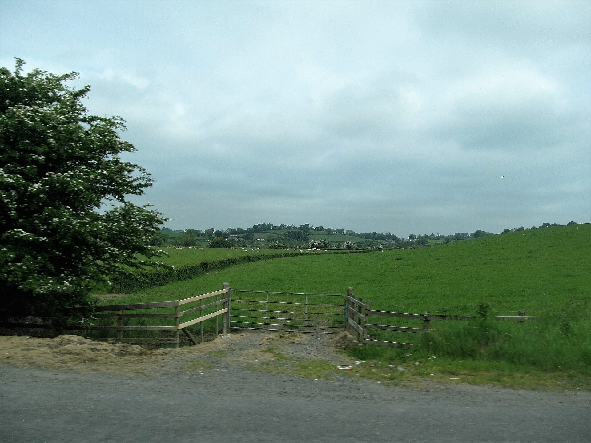 Irish Surnames from Monaghan &ndash; Origins, Meanings & Heritage Roots