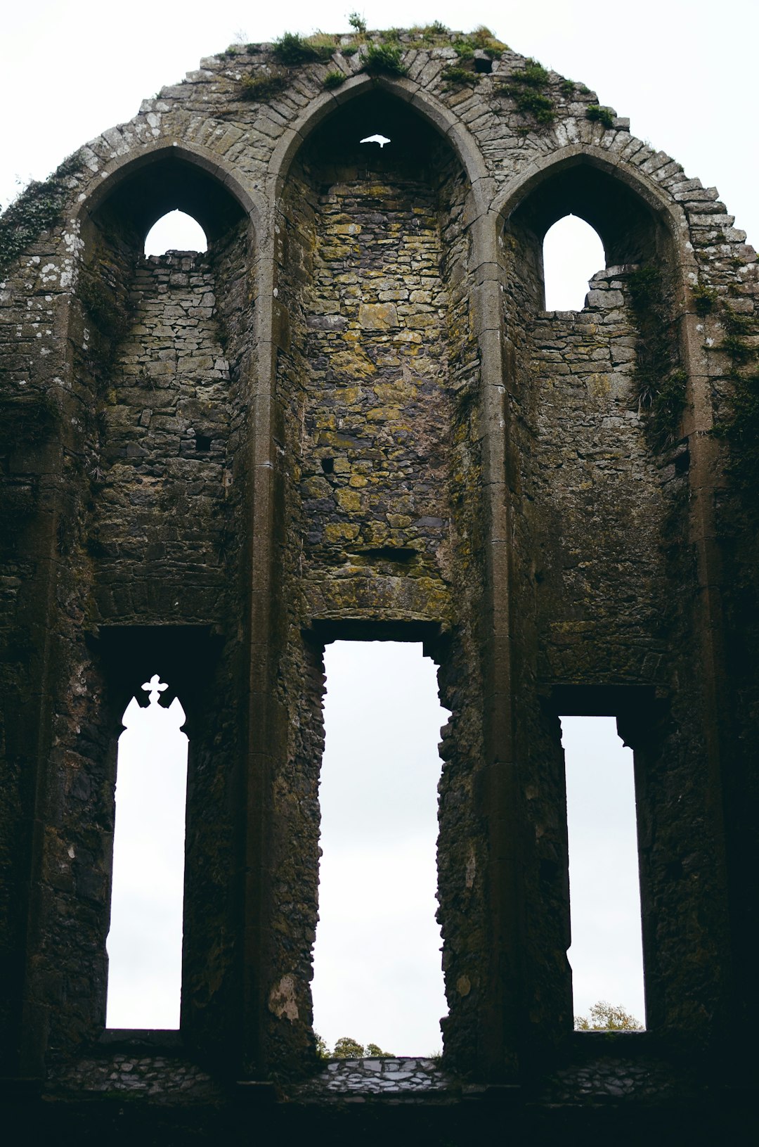 Irish Surnames from Offaly &ndash; Origins, Meanings & Heritage Roots