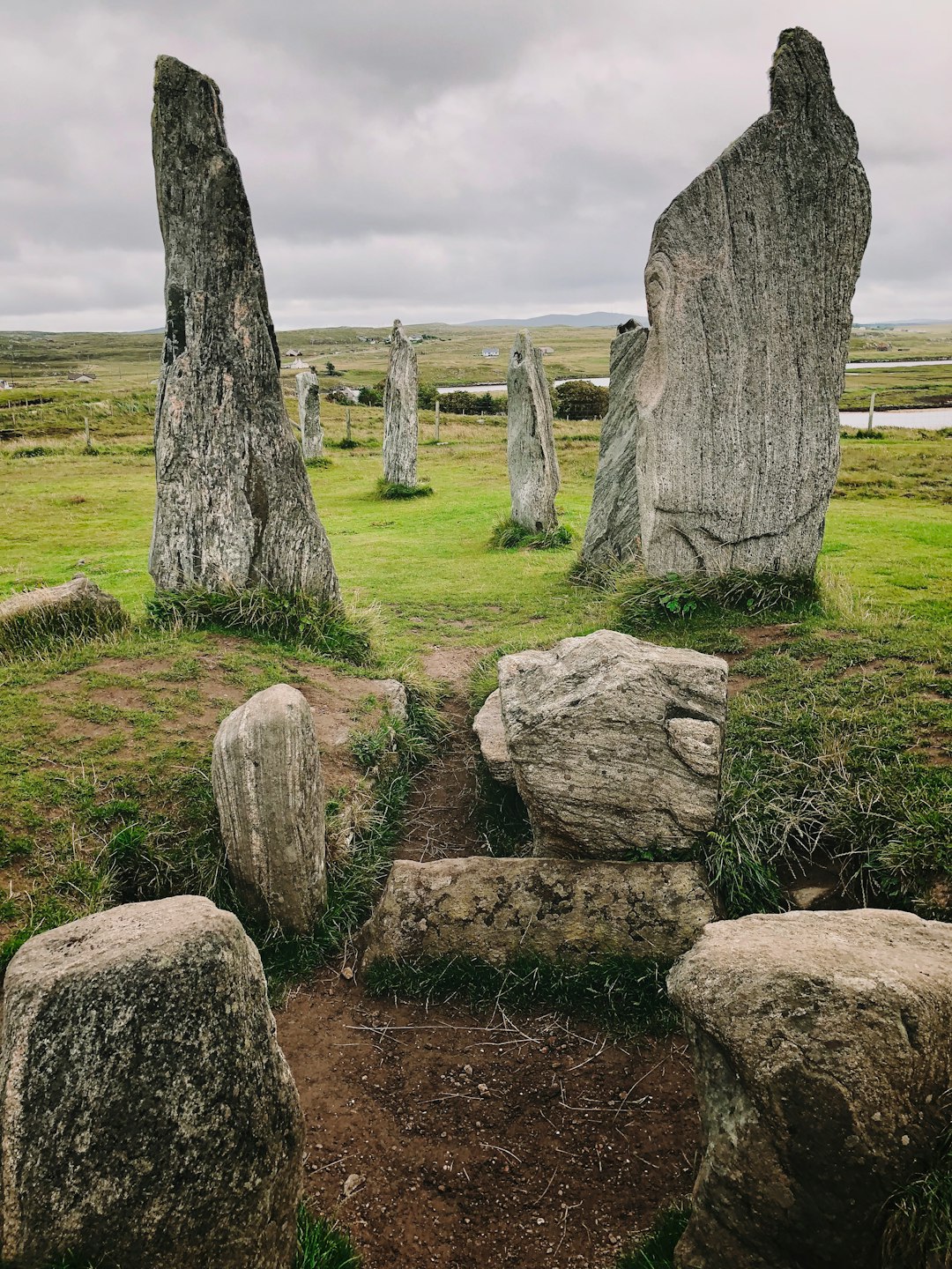 The Ancient Irish Poets So Powerful That Kings Paid Gold to Silence Them