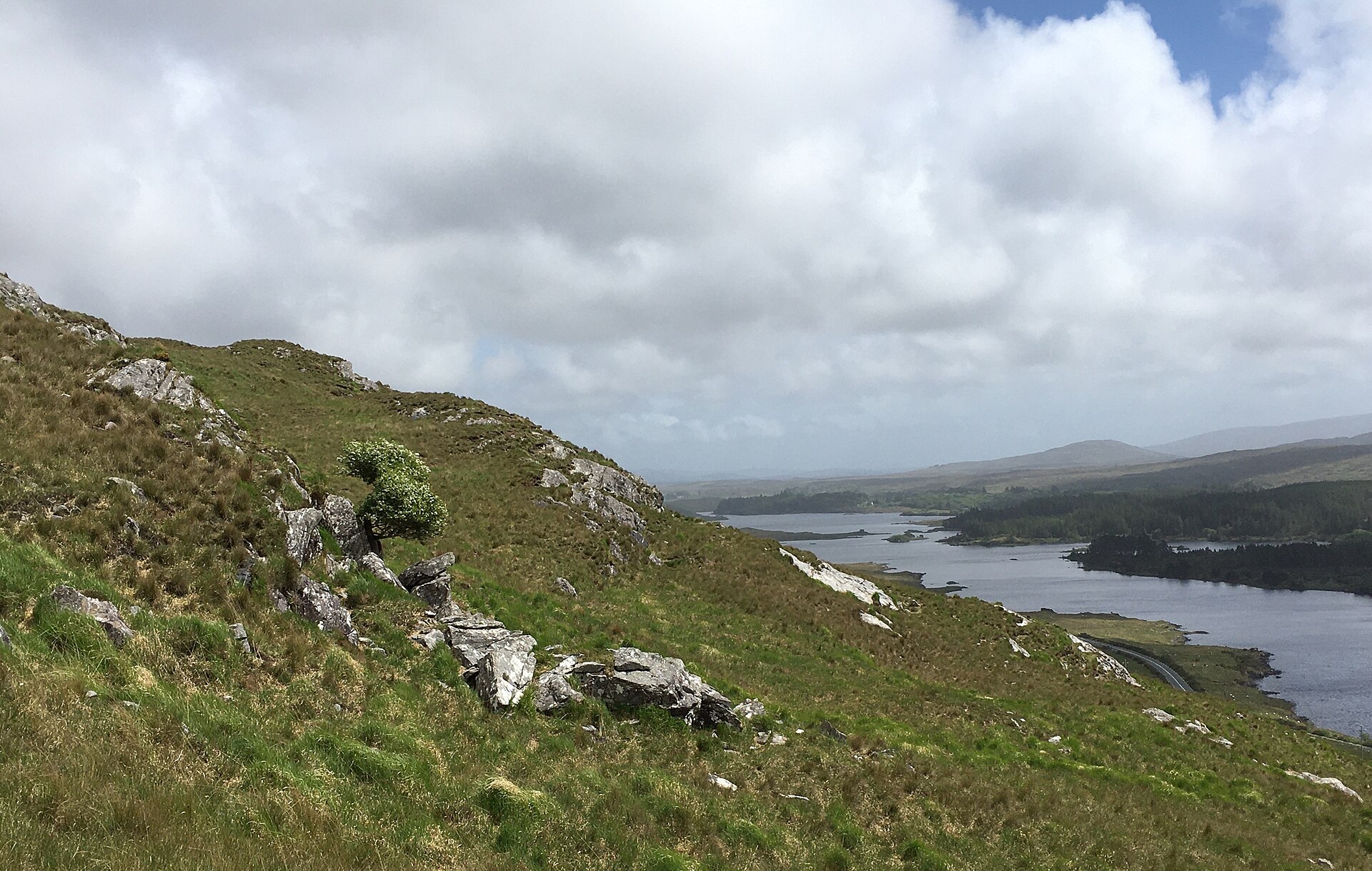 The Story Behind Fiadh: Ireland&rsquo;s Beloved Irish Girl Name