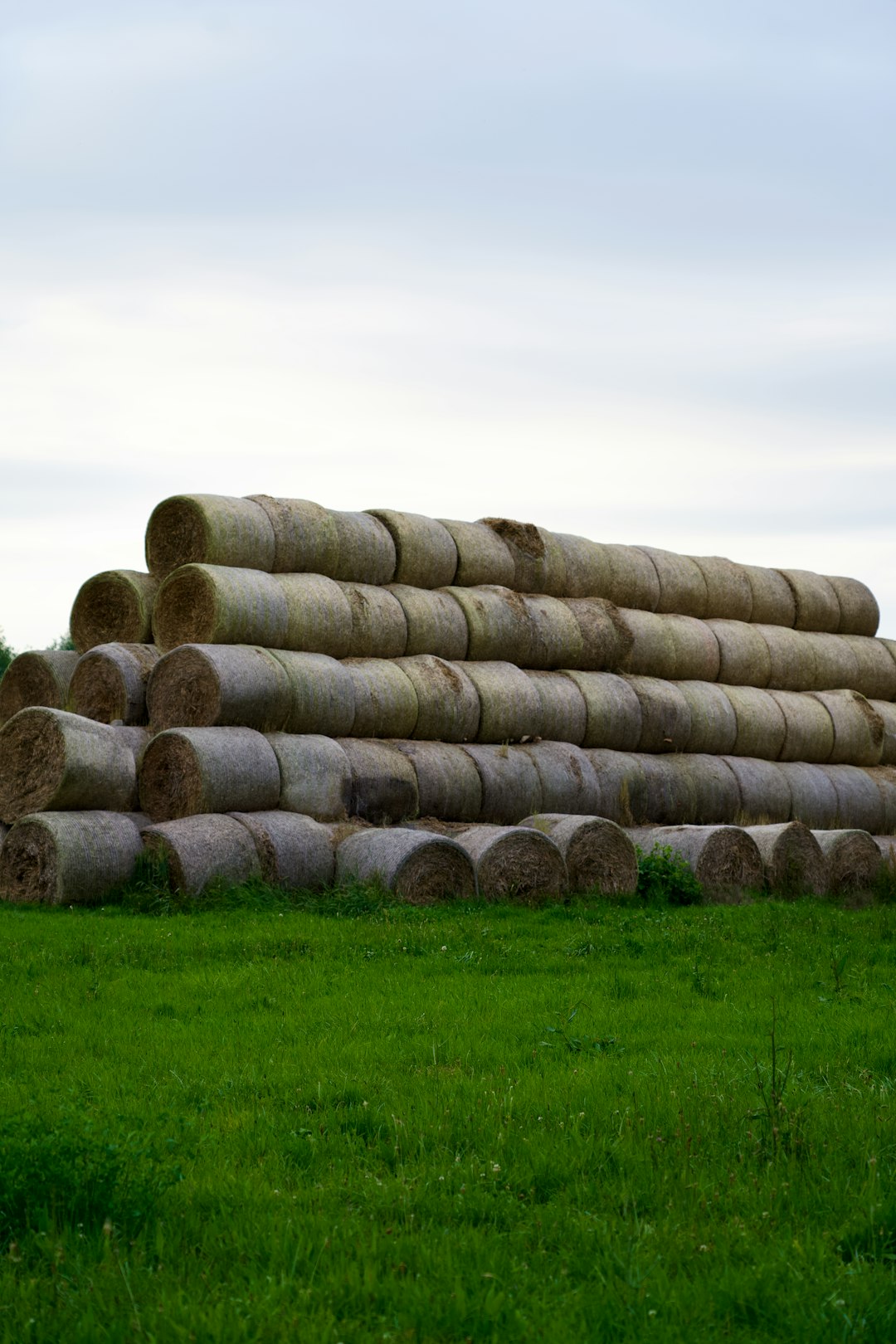 Why Irish Schoolchildren Once Arrived in Class Carrying a Sod of Turf