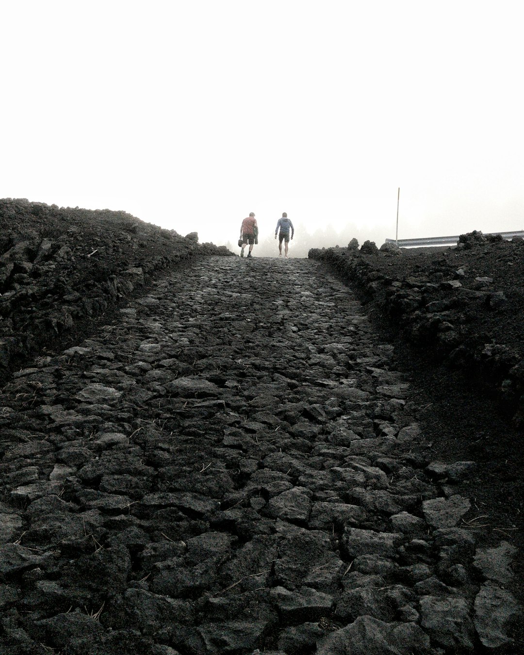 Why Irish Schoolchildren Once Arrived in Class Carrying a Sod of Turf