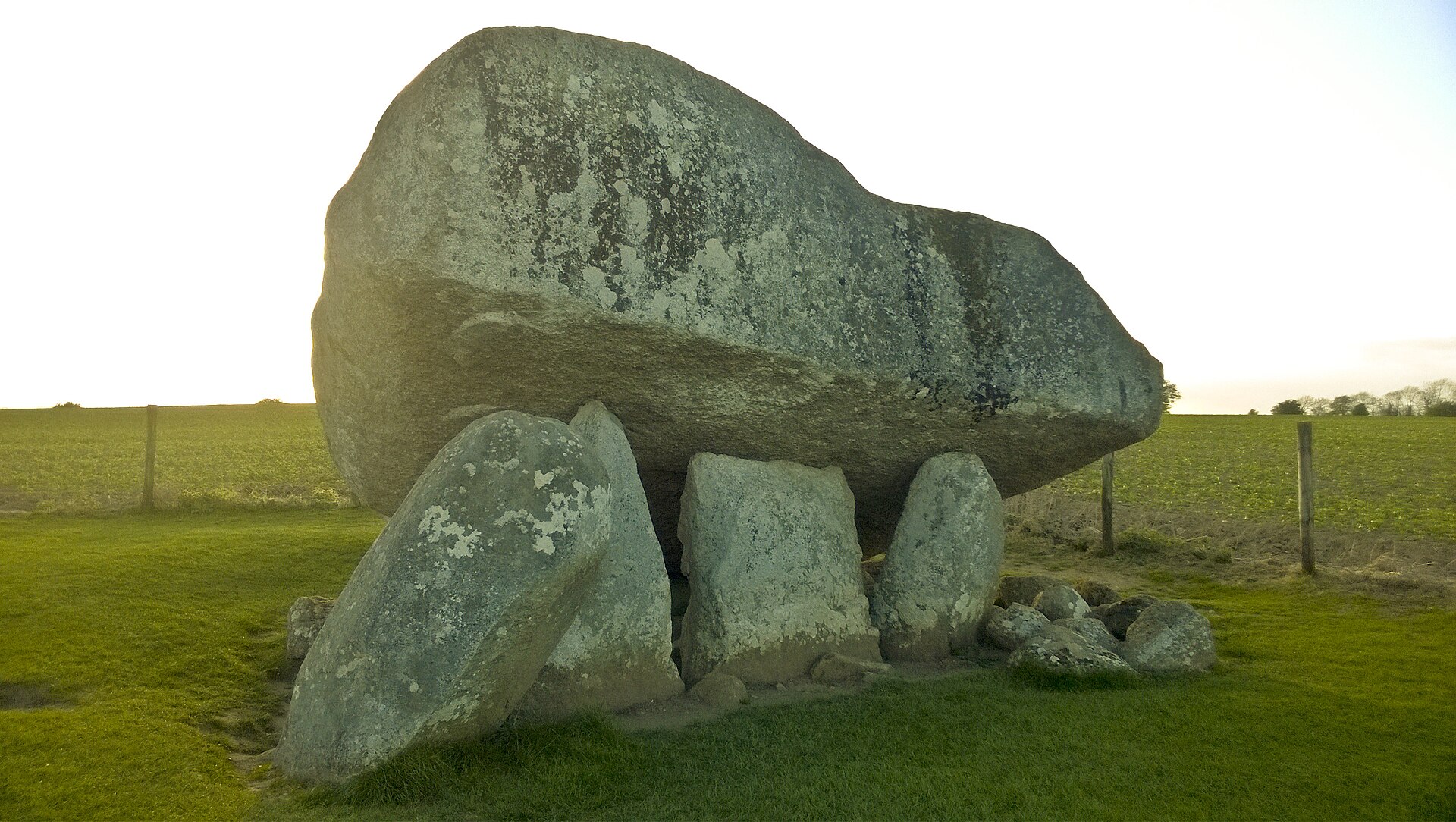 Brownshill Dolmen portal tomb showing the massive tilted granite capstone balanced on upright standing stones, County Carlow, Ireland