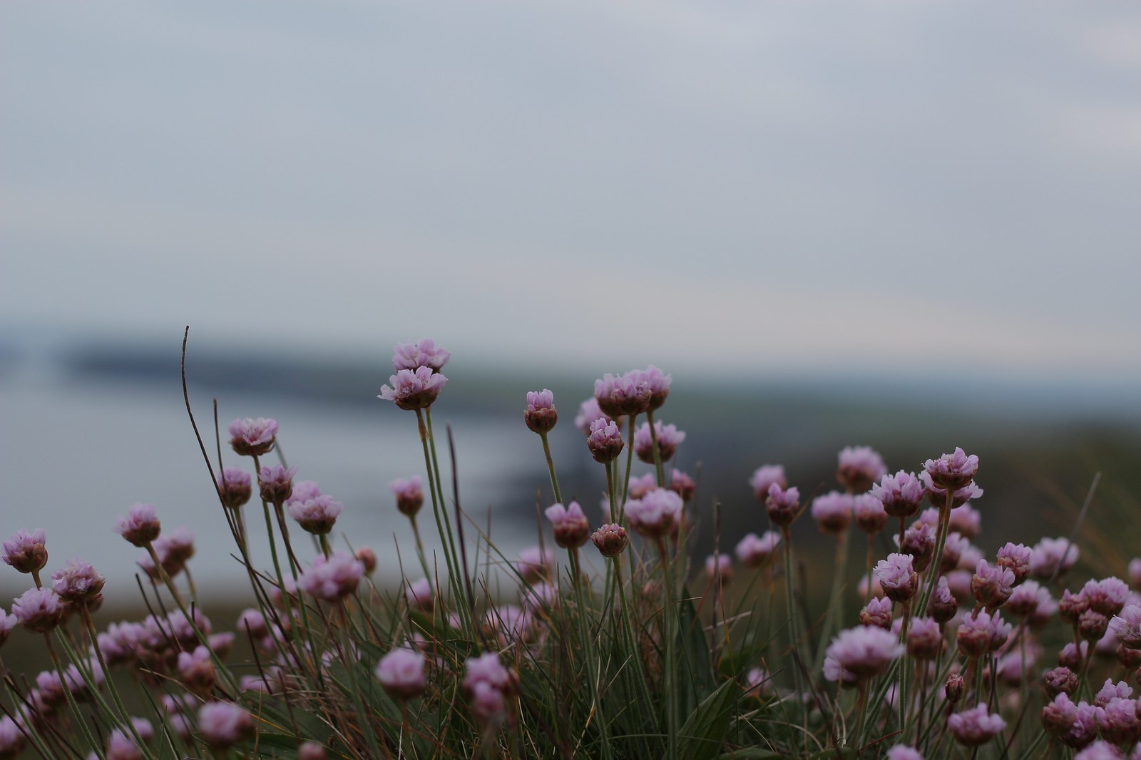 Copper Coast, County Waterford