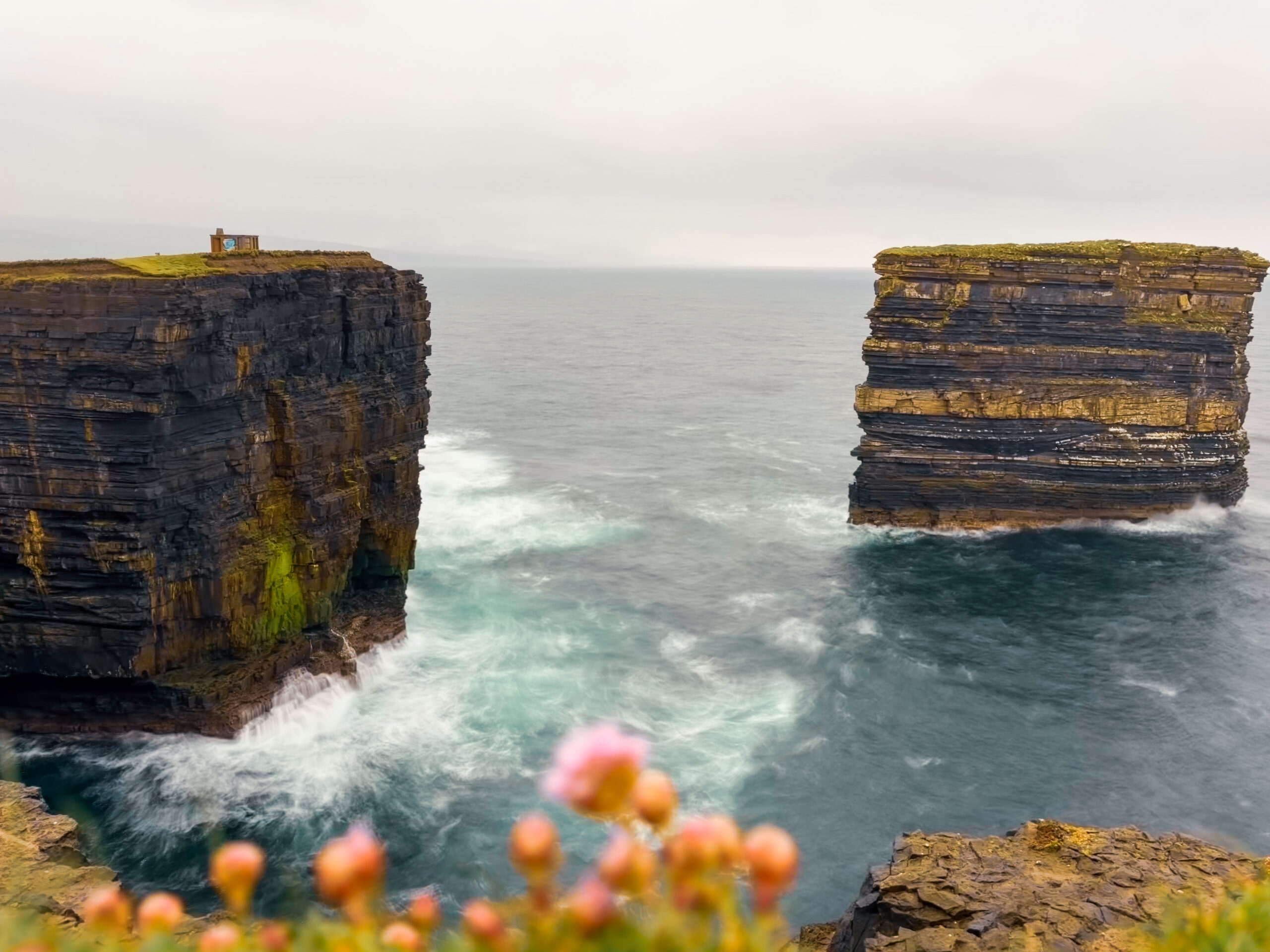D&uacute;n Briste sea stack separated from the Downpatrick Head cliffs by a channel of the Atlantic Ocean, County Mayo, Ireland, with pink sea thrift flowers in the foreground
