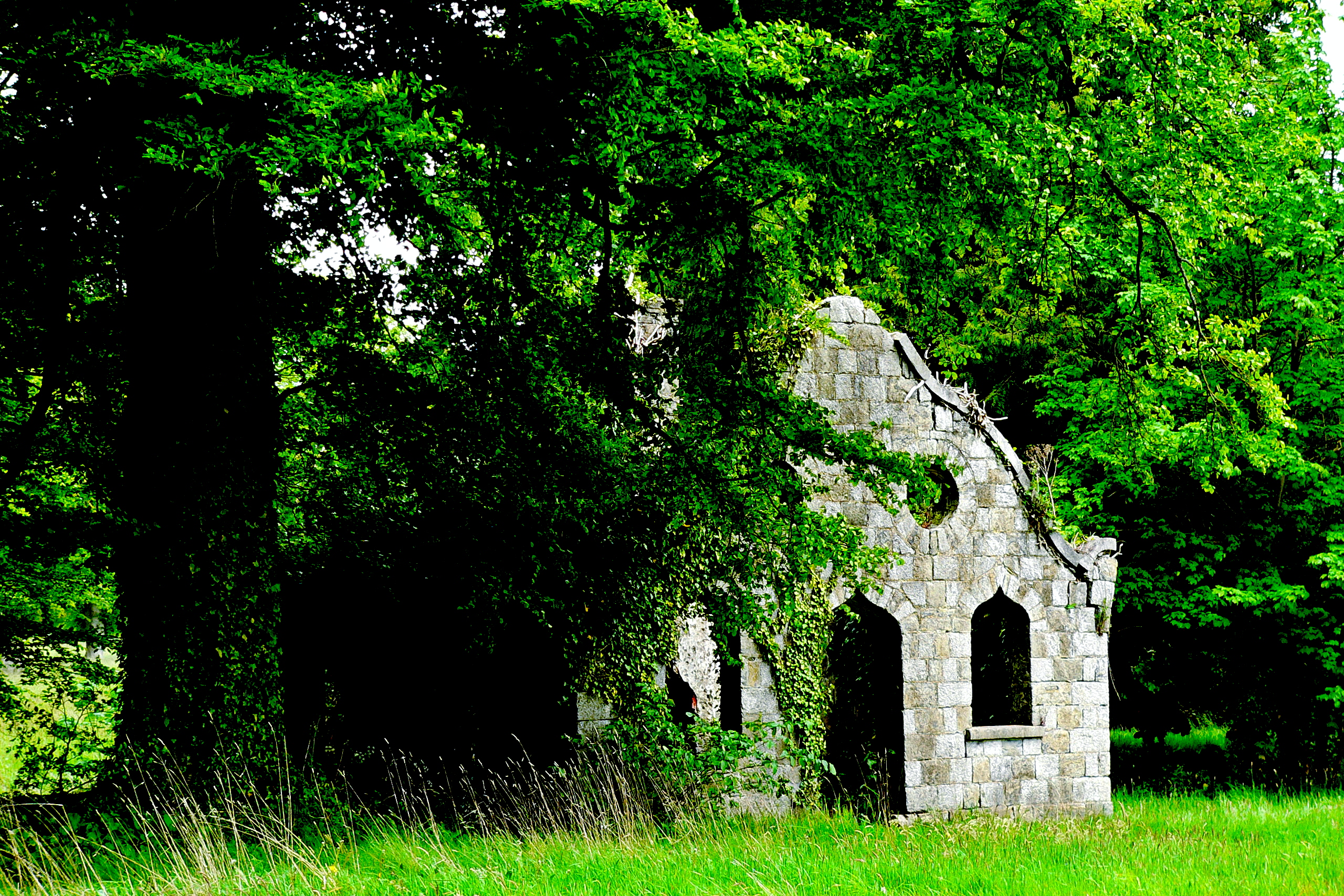 Ruins of the Franciscan Friary on the grounds of Adare Manor, County Limerick, Ireland