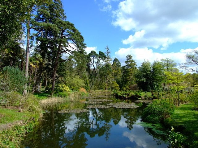 Fota Arboretum and Gardens, Co. Cork