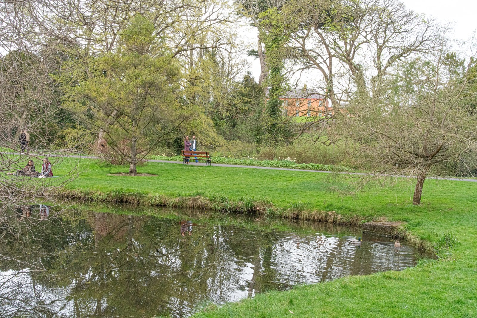 National Botanic Gardens, Glasnevin, Co. Dublin