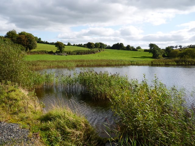 Irish Surnames from Cavan &ndash; Origins, Meanings & Heritage Roots