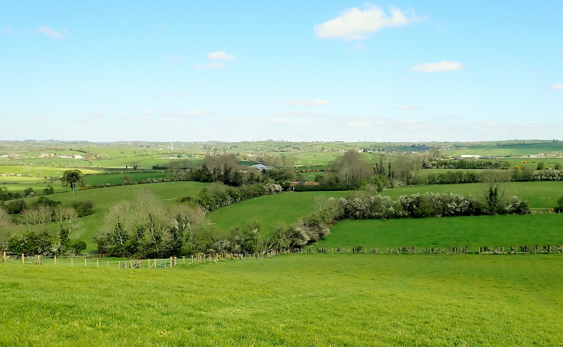 Irish Surnames from Down – Origins, Meanings & Heritage Roots