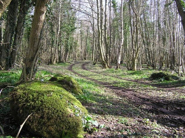 Irish Surnames from Fermanagh – Origins, Meanings & Heritage Roots