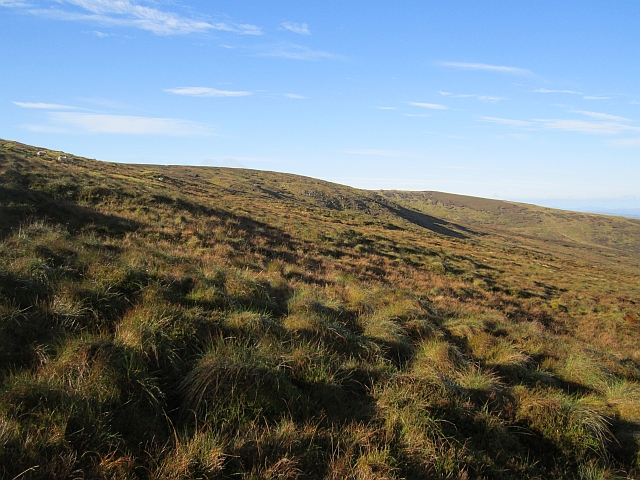 Irish Surnames from Tyrone &ndash; Origins, Meanings & Heritage Roots
