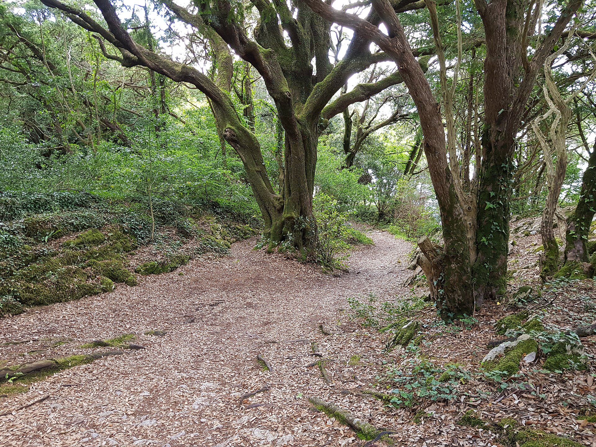 LOVE IRELAND #1 – An Interview With Colette Connolly, Founder And Owner Of Ireland On A Budget
