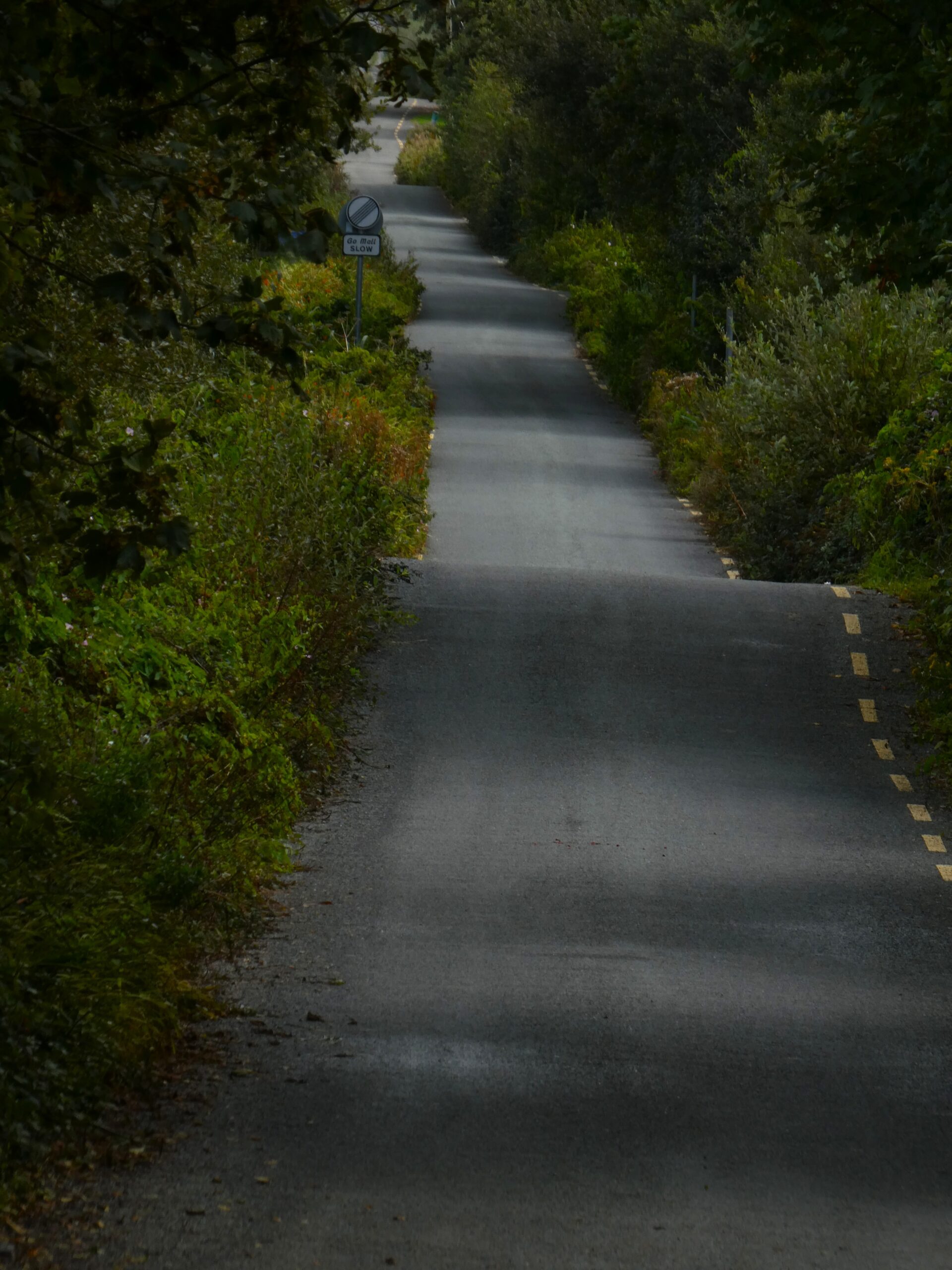 Narrow single-track regional road on the Dingle Peninsula, Co. Kerry, Ireland, with hedgerows and a bilingual SLOW sign