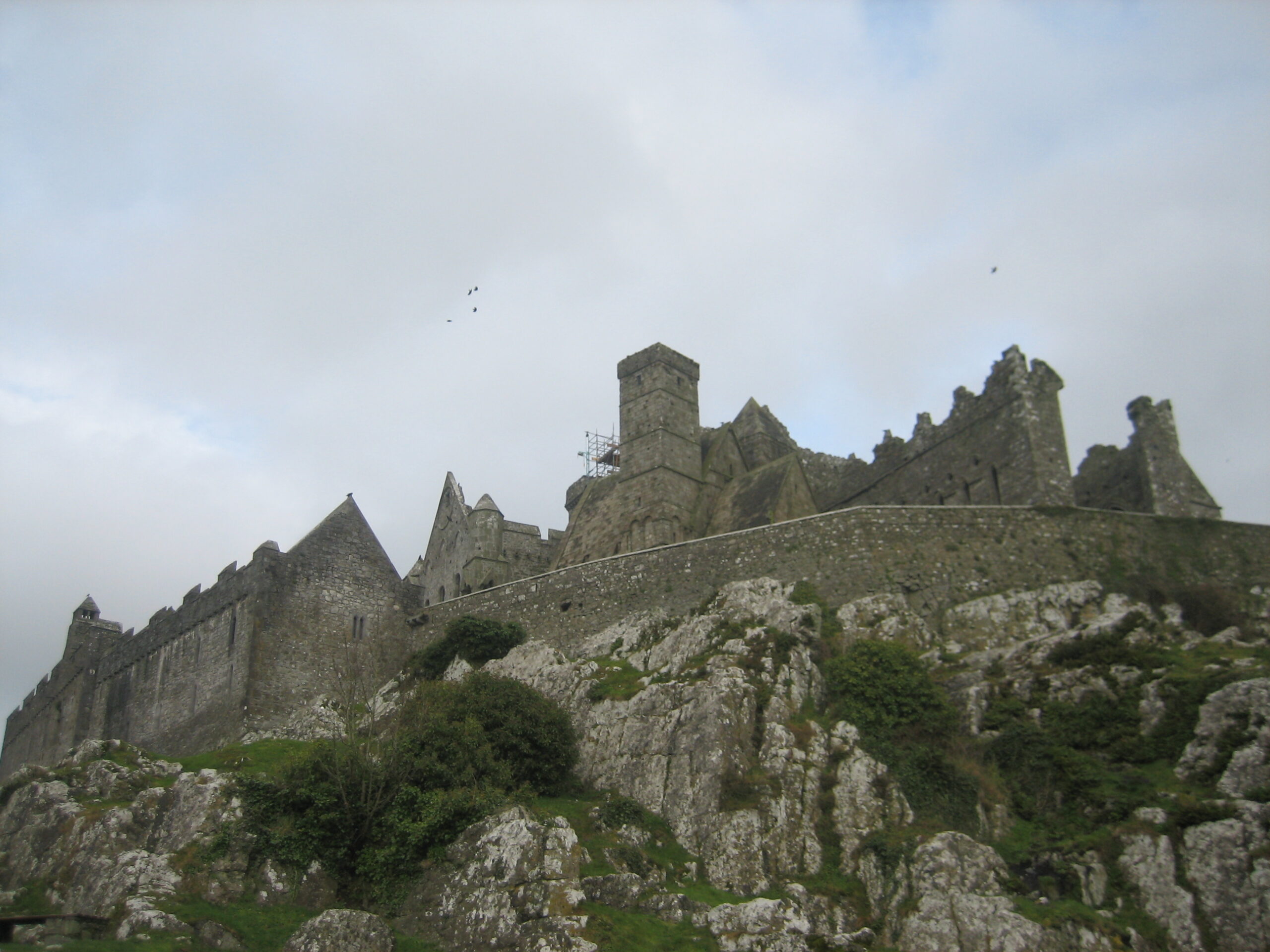 The Rock of Cashel rising above the Tipperary plain, with the roofless medieval cathedral and round tower on top of the limestone outcrop