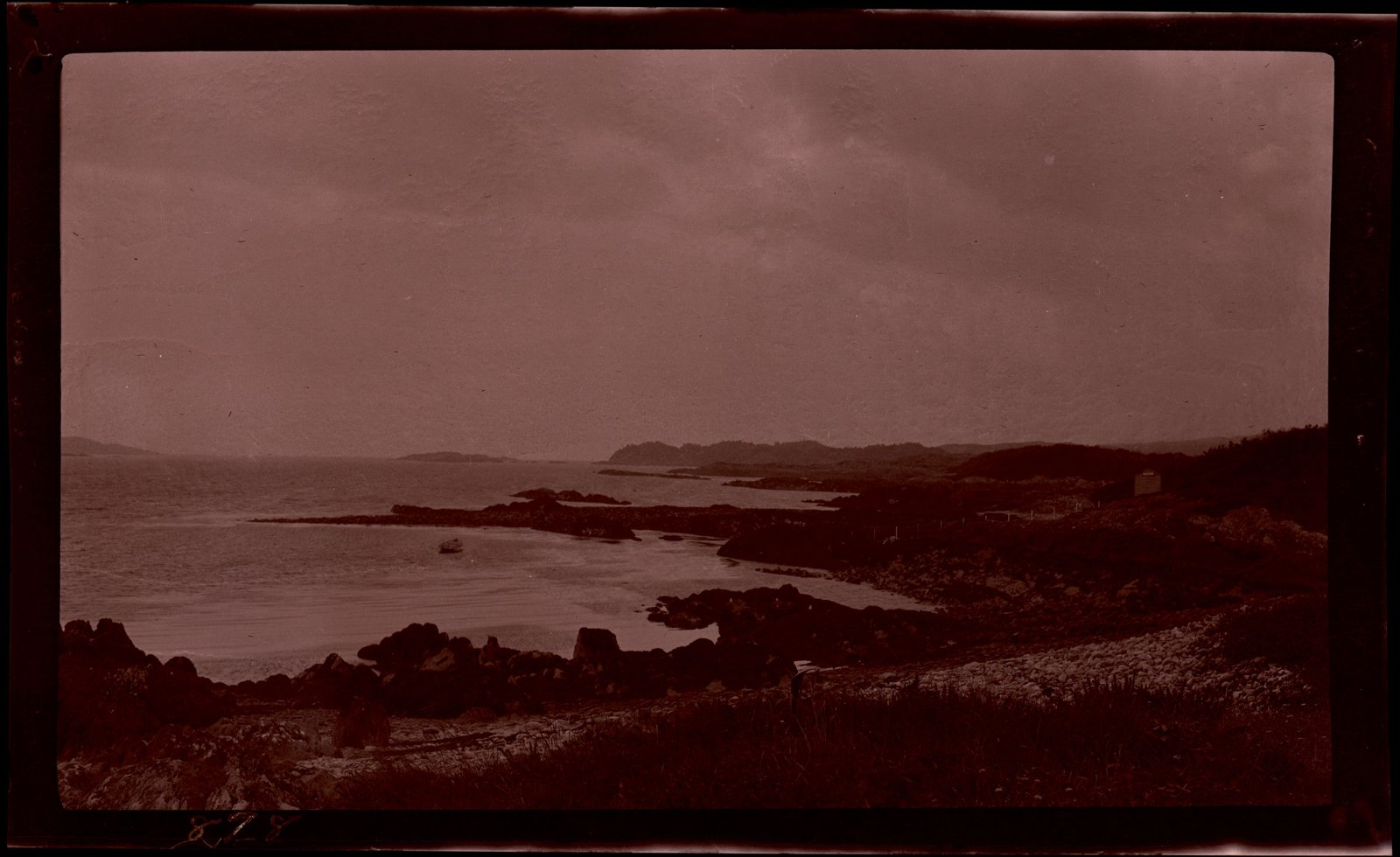 The shoreline at Parknasilla, Sneem, County Kerry