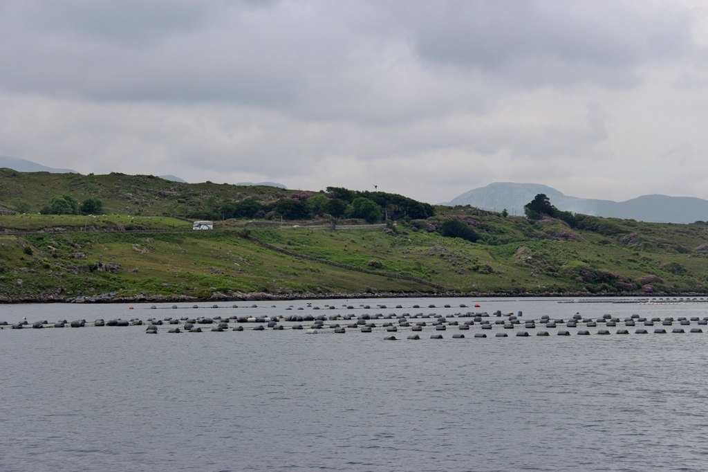 The Remote Irish Fjord Where You Can Eat the Finest Mussels of Your Life