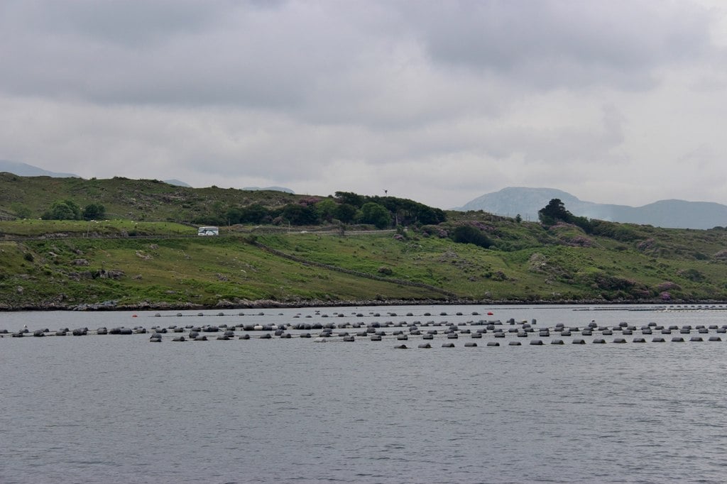 The Remote Irish Fjord Where You Can Eat the Finest Mussels of Your Life