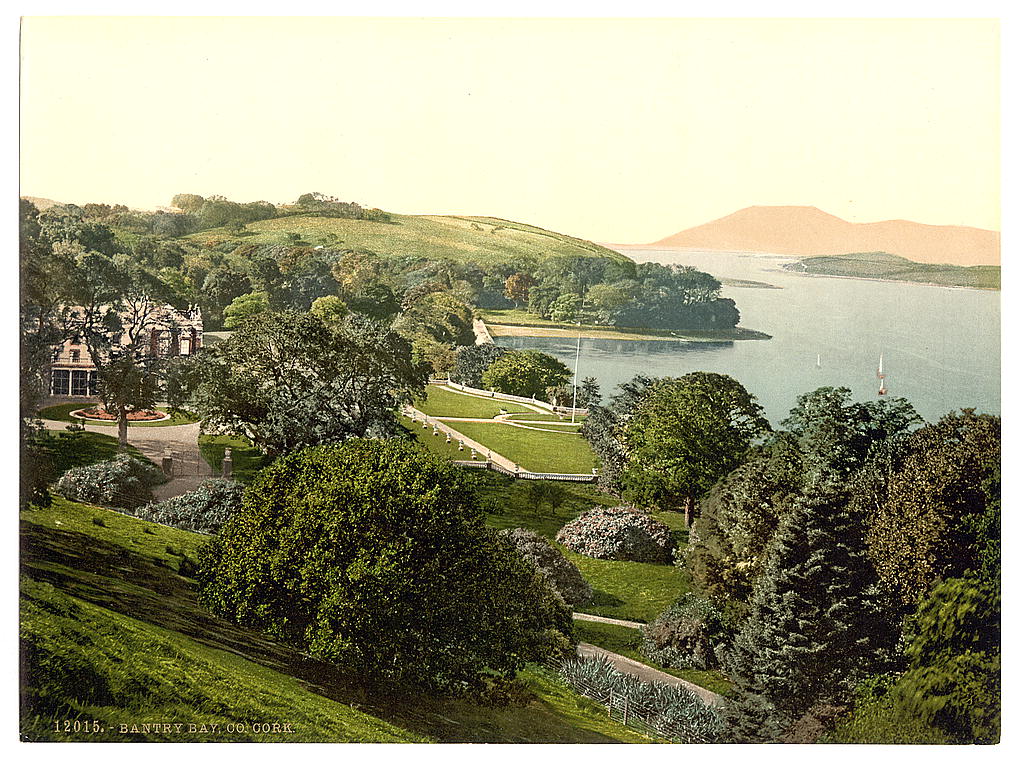 Exploring Whiddy Island: A Hidden Gem off Ireland’s Coast